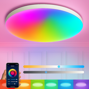 Smart IP44 Ceiling Light_Spiral Lighting