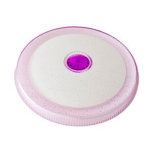 Toggle Switch 3CCT Ceiling Light - Zeena_Spiral Lighting